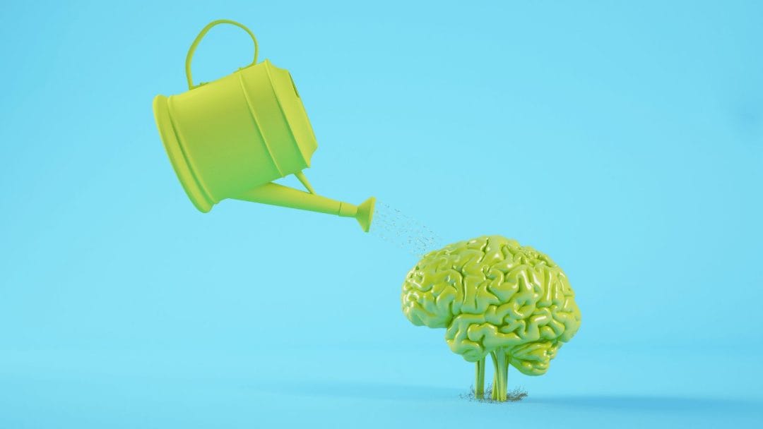 a bright blue background with a bright green watering can tilted toward a bright green brain, symbolizing nurturing intellect