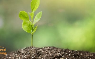 Watch it Grow – Exercising Patience