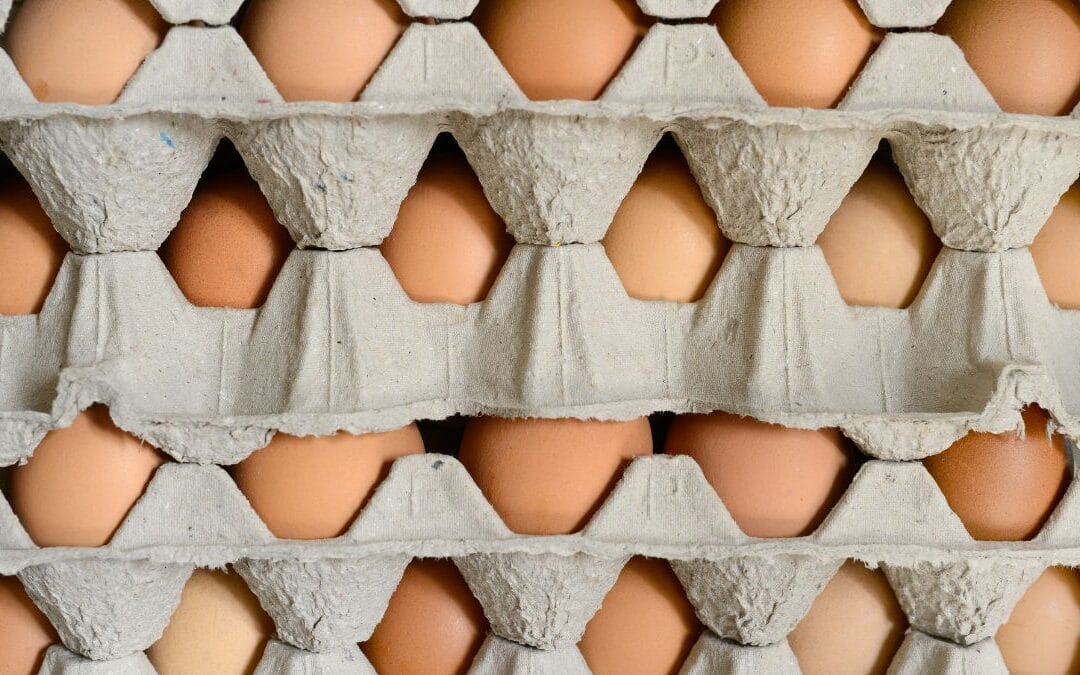 Disrupt the Egg Carton | Hooray for Monday