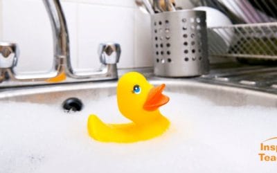 What floats? What sinks?