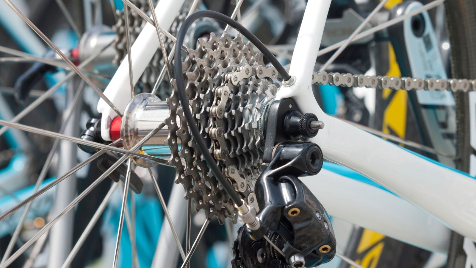 A list outline of Inspired Teacher traits, outlining the capabilities for teaching students respectful discourse