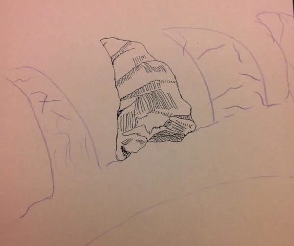 triangle-shape-tooth